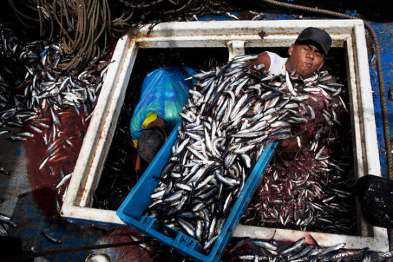pescador em 2012