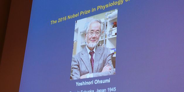 A photo of Yoshinori Ohsumi of Japan can be seen on the speaker's desk at the Nobel Forum in Stockholm, after the announcement he won the Nobel Prize in Medicine on October 3, 2016.
The 2016 Nobel prize season kicks off with the announcement of the medicine prize by a scandal-tainted jury, to be followed over the next 10 days by the other science awards and those for peace and literature. / AFP / JONATHAN NACKSTRAND (Photo credit should read JONATHAN NACKSTRAND/AFP/Getty Images)
