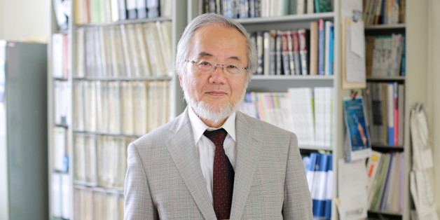 Le prix Nobel de médecine 2016 décerné à Yoshinori Ohsumi pour ses travaux sur "l'autophagie"