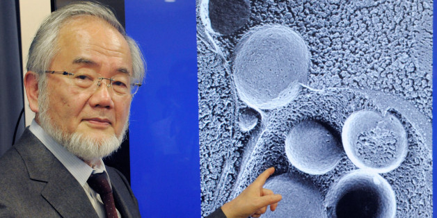 Yoshinori Ohsumi, a professor of Tokyo Institute of Technology is pictured in Tokyo, Japan, March 25, 2015 in this photo released by Kyodo. To go with NOBEL-PRIZE/MEDICINE Mandatory credit Kyodo/via REUTERS ATTENTION EDITORS - THIS IMAGE WAS PROVIDED BY A THIRD PARTY. EDITORIAL USE ONLY. MANDATORY CREDIT. JAPAN OUT. NO COMMERCIAL OR EDITORIAL SALES IN JAPAN.