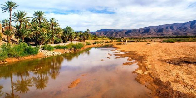 A Tafilelt, la plus grande oasis au monde est menacée par le changement climatique
