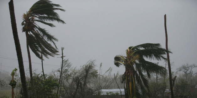 Trees damaged by wind are seen during Hurricane Matthew in Les Cayes, Haiti, October 4, 2016. REUTERS/Andres Martinez Casares