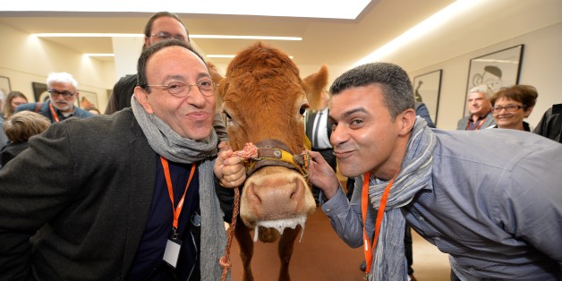 Belgian and Israeli author and cartoonist Michel Kichka (L) and Moroccan cartoonist Khalid Gueddar pose with Limousin cow 'Justine' they received after being awarded with the 'Humour Vache' prize at the 35th International Caricature and Press Comic festival in Saint-Just Le Martel, central France, on October 8, 2016. / AFP / PASCAL LACHENAUD (Photo credit should read PASCAL LACHENAUD/AFP/Getty Images)