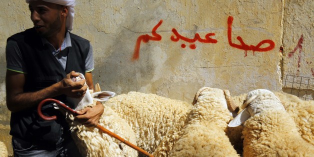 An Algerian vendor wait for customers at a livestock market in preparation for the upcoming Muslim Eid al-Adha holiday or Feast of the Sacrifice, in Algiers, Algeria on Sept. 8, 2016. Eid al-Adha, or Feast of Sacrifice, commemorates what Muslims believe was Prophet Ibrahim's willingness (Abraham to Christians and Jews) to sacrifice his son. It is a festive holiday where it is traditional for men, women and children to dress in new clothing and spend time with their families outdoors. (Photo by Billal Bensalem/NurPhoto via Getty Images)rPhoto)