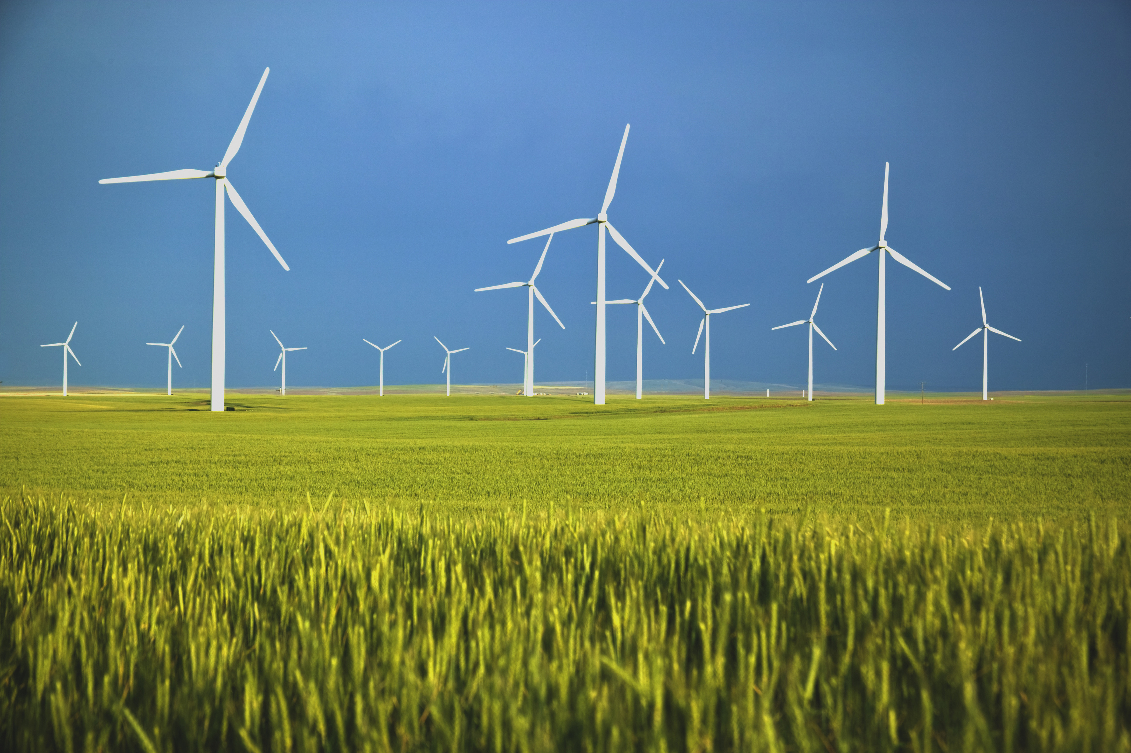 3qs-offshore-wind-farms-hurricanes-and-sustainability-news