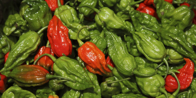 Bhut Jolokia gilt als eine der schärfsten Chili-Schoten der Welt - ein Mann aß sie trotzdem und begab sich in Lebensgefahr