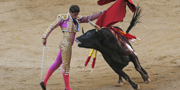 Spanish bullfighter Mario Palacios performs with an Aguadulce ranch fighting bull during a bullfight at the Las Ventas bullring in Madrid, Spain, Sunday, Oct. 9, 2016. (AP Photo/Francisco Seco)