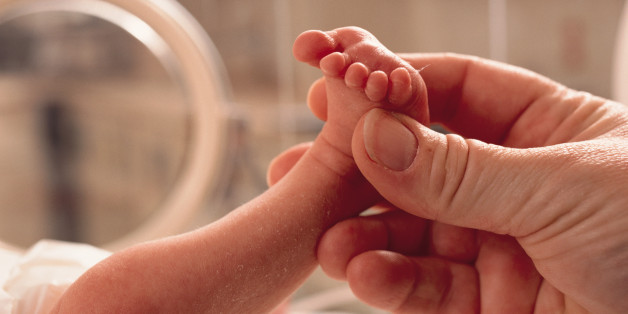 small premature baby lies in an incubator a grown hand reaches in grasping the foot in caring manner