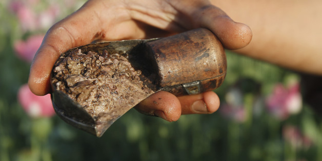 FILE - In this April 11, 2016 file photo, an Afghan farmer shows some harvested raw opium at a poppy field in Zhari district of southern Kandahar province, Afghanistan. Afghanistan saw an increase of 10 percent in opium poppy cultivation and 91 percent decrease in eradication across the country, according to a new joint survey released by the UN and Afghan government. The report released Sunday, Oct. 23, 2016, showed the total area under cultivation in Afghanistan at an estimated 201,000 hectare