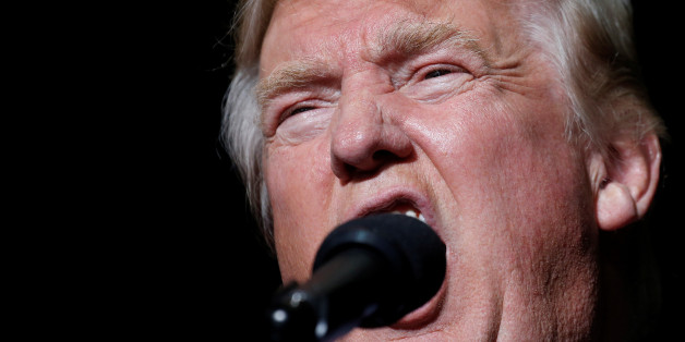 Republican presidential nominee Donald Trump appears at a campaign event in Geneva, Ohio, U.S., October 27, 2016. REUTERS/Carlo Allegri