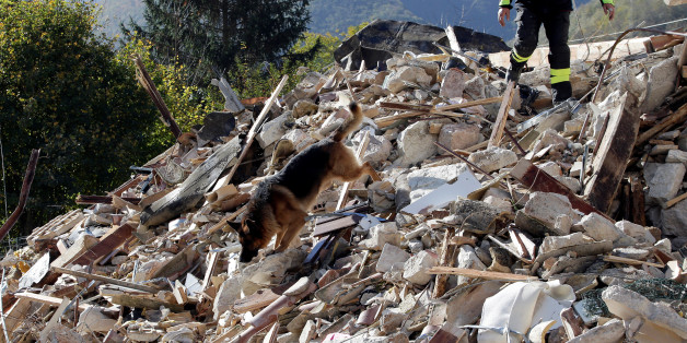 A firefighter with a rescue dog search a collapsed building after an earthquake in Borgo Sant'Antonio near Visso, central Italy, October 27, 2016. REUTERS/Max Rossi
