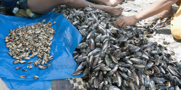 Fishermen shell mussels on August 18, 2012 on a beach near Rabat. AFP PHOTO / FADEL SENNA (Photo credit should read FADEL SENNA/AFP/GettyImages)