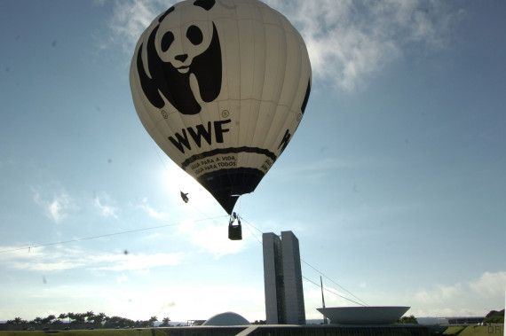 wwf