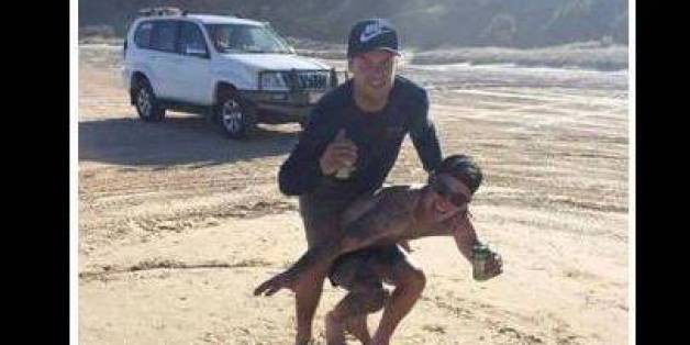 Entsetzlicher Vorfall: Männer "surfen" auf Schildkröten und prahlen damit