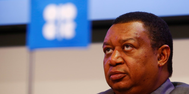 OPEC Secretary-General Mohammed Barkindo addresses a news conference in Vienna, Austria, October 24, 2016. REUTERS/Leonhard Foeger
