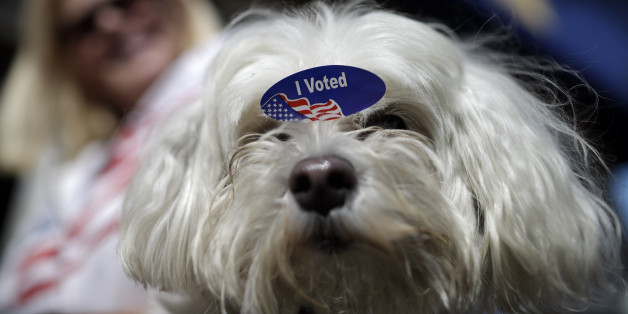 Sam, the dog of Sandy Greenfield, left, wears an "I voted" sticker after Greenfield cast her ballot during elections Tuesday, Nov. 4, 2014, in San Diego. Those turning out to vote on Tuesday aren't the only ones having their say this election. More than 18.6 million Americans in 32 states voted early â either by mail or at early polling places. And millions more may have their say in another way â by sitting this election out. (AP Photo/Gregory Bull)