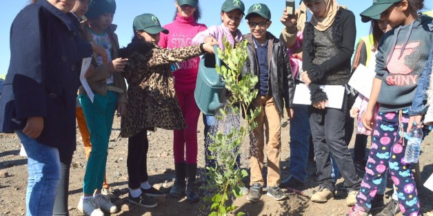 Le Maroc plante 1 million d'arbres en une seule journée