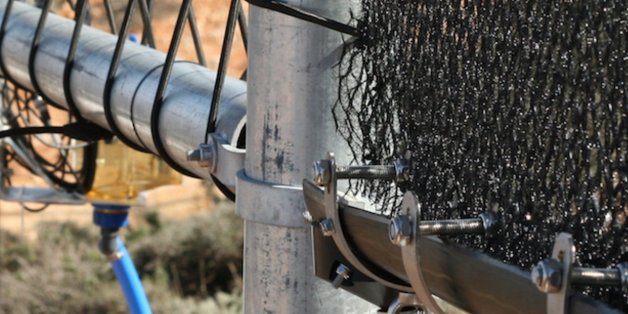 Dar Si Hmad, l'association qui transforme le brouillard en eau potable