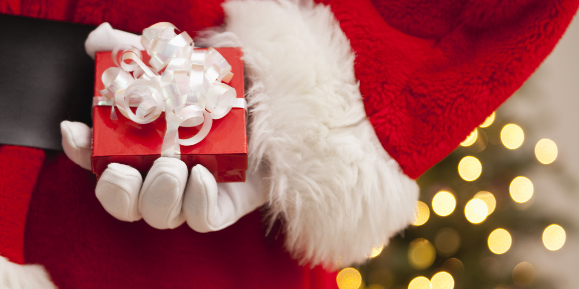 Santa Got Me A Puppy What You Need To Know Before Gifting A Dog HuffPost