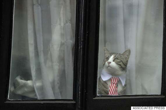 julian assange