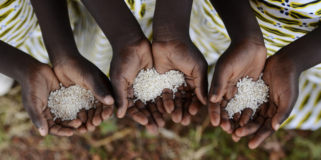 Colgate, Nestlé, Unilever, accusés par Amnesty International d'utiliser de l'huile...