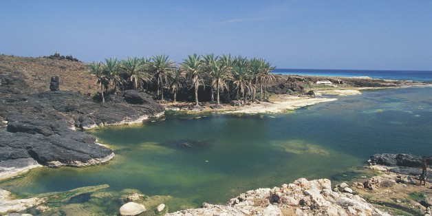 YEMEN - FEBRUARY 9: Palm trees on rocky cove along the Arabian Sea coast, near Hadibu, Socotra island, Yemen. (Photo by DeAgostini/Getty Images)