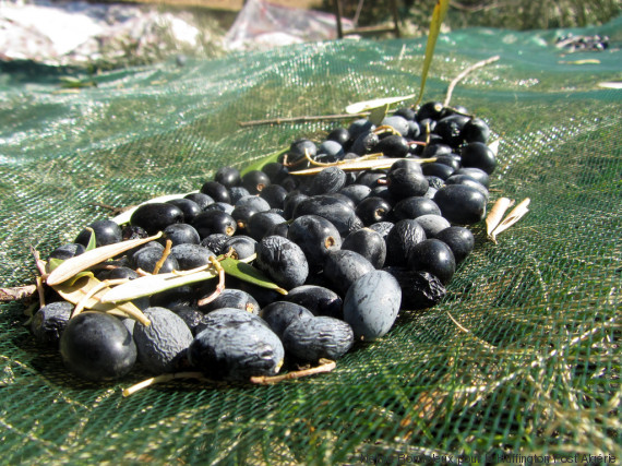 olives