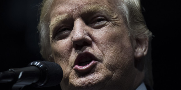 GRAND RAPIDS, MI - DECEMBER 9: President-elect Donald Trump speaks at the DeltaPlex Arena, December 9, 2016 in Grand Rapids, Michigan. President-elect Donald Trump is continuing his victory tour across the country. (Photo by Drew Angerer/Getty Images)
