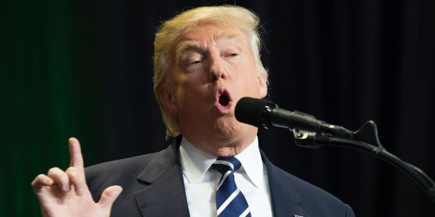 President-elect Donald Trump speaks at the USA Thank You Tour 2016 at the Wisconsin State Fair Exposition Center December 13, 2016 in West Allis, Wisconsin. / AFP / DON EMMERT (Photo credit should read DON EMMERT/AFP/Getty Images)