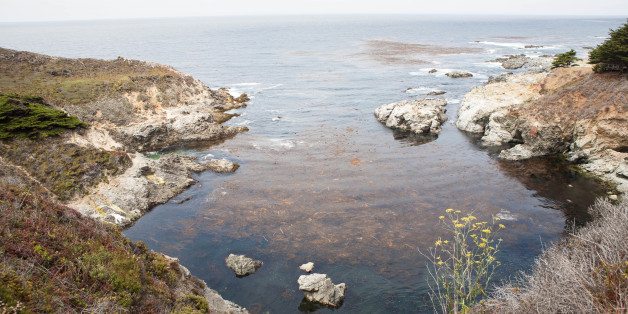 California's famous coastline.