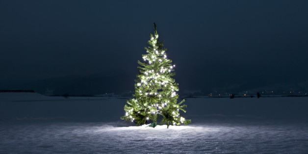 Illuminated christmas tree on the snow at night
