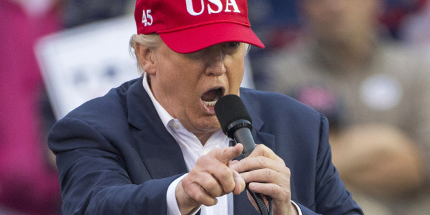MOBILE, AL - DECEMBER 17: President-elect Donald Trump speaks during a thank you rally in Ladd-Peebles Stadium on December 17, 2016 in Mobile, Alabama. President-elect Trump has been visiting several states that he won, to thank people for their support during the U.S. election. (Photo by Mark Wallheiser/Getty Images)