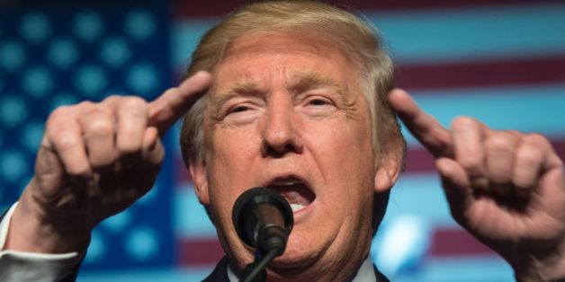 TOPSHOT - President-elect Donald Trump speaks at the USA Thank You Tour 2016 at the Giant Center on December 15, 2016 in Hershey, Pennsylvania. / AFP / Don EMMERT (Photo credit should read DON EMMERT/AFP/Getty Images)