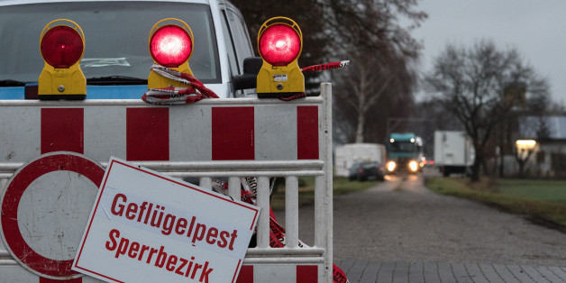 Die Geflügelpest in Niedersachsen