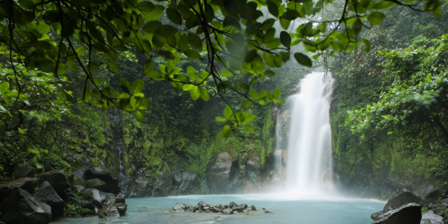 Costa Rica, Tenorio Volcano National Park, Waterfall on Rio Celeste River roars through canyon surrounded by rainforest vegetation on volcanic slopes