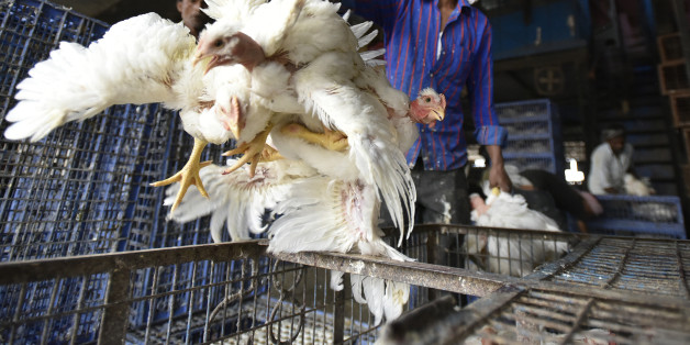 NEW DELHI, INDIA - OCTOBER 24: Labour working at Ghazipur chicken mandi (market) on October 24, 2016 in New Delhi, India. The Delhi government on Monday issued health advisory after six more birds died of the Avian flu. The H5N8 flu has resulted in the deaths of 64 birds since October 14. However, the H5N8 flu is not harmful to humans. The park remained shut for the public at large after ducks were found dying because of bird flu. (Photo by Ravi Choudhary/Hindustan Times via Getty Images)