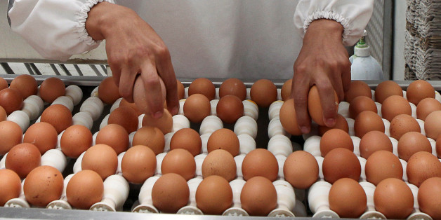 Ecuadorean workers select eggs in a food industry company located close to Ecuador's Tungurahua volcano province in Ambato, November 21, 2016. Picture taken November 21, 2016. REUTERS/Guillermo Granja