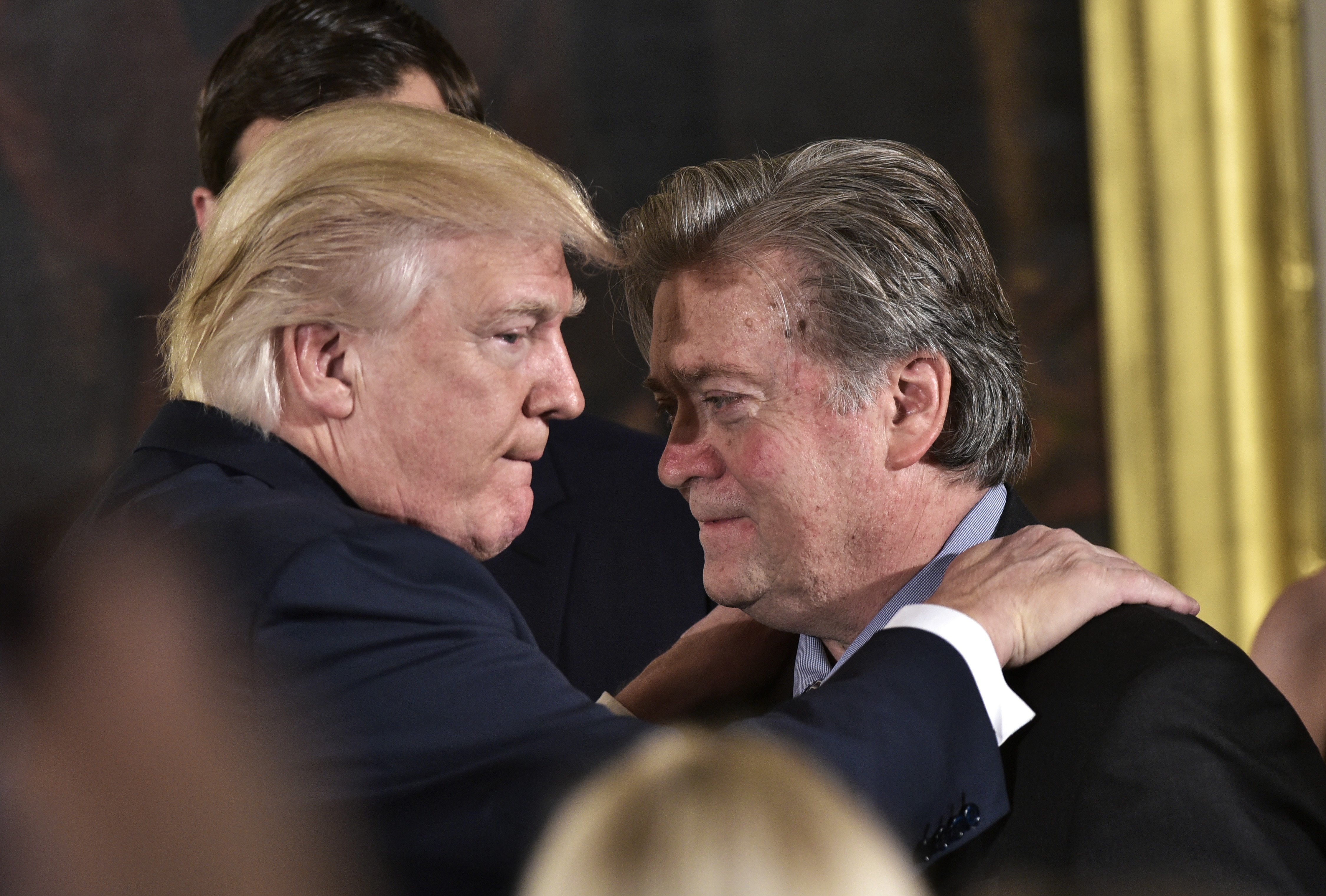 stephen bannon