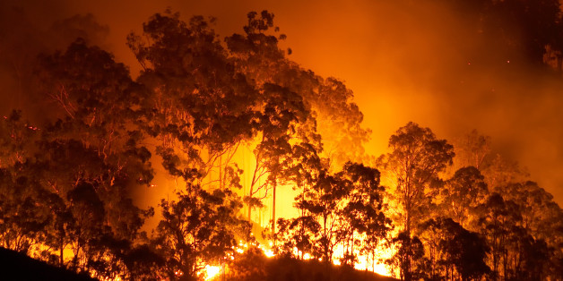 Forest fire at night