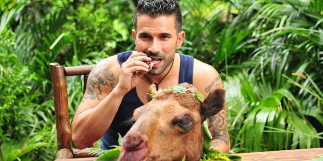 Marc Terenzi ist der Dschungelkönig. Alle Infos zu 'Ich bin ein Star - Holt mich hier raus!' im Special bei RTL.de: www.rtl.de/cms/sendungen/ich-bin-ein-star.html
