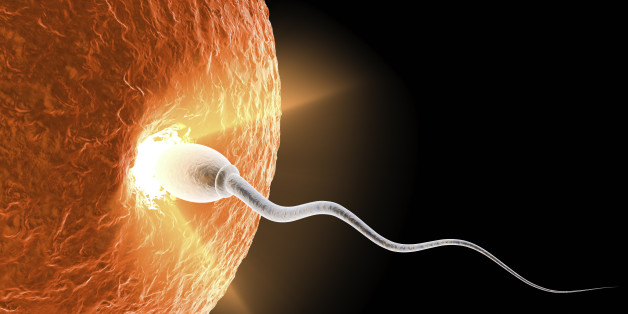 A sperm cell entering an ovum. A bright light is emitting from within the ovum. Symbolizing fertilization.