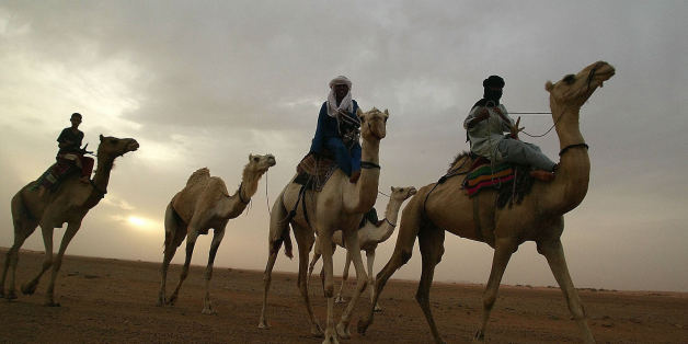 Nomadic guides ride their camels in May 2003 in the Saharan desert in southern Algeria around the city of Illizi. 31 European tourists are missing in Algeria since mid-February. The tourists, 15 Germans, 10 Austrians, 4 Swiss nationals, a Dutchman and a Swede, are feared to have been kidnapped by an armed group or by smugglers. They were travelling in six separate groups in four-wheel vehicles and motorbikes without guides when they disappeared over the period of one month in the vast Sahara, wh