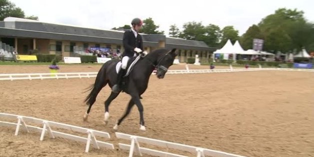 Le champion marocain de dressage de chevaux accusé de viol en Belgique
