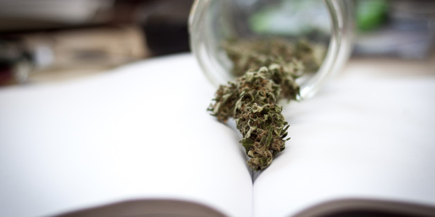 Dried cannabis buds on white blank paper of a book with a glass in the background.