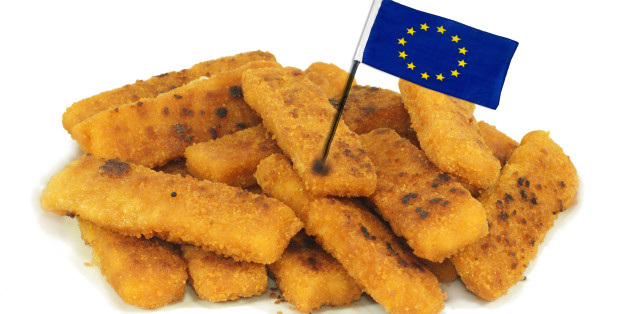 Die Fischstäbchen-Krise: Auf dem EU-Gipfel geht es um Tiefkühlkost. Die bizarre Debatte zeigt, in welcher Krise die EU steckt