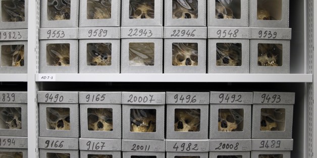 TO GO WITH AFP STORY BY PASCALE MOLLARD Boxes with skulls are pictured at the vaults of the Museum of Man (Musee de l'Homme) on August 27, 2015 in Paris. The museum will reopen its doors on October 17, 2015 after 6 years of construction works. AFP PHOTO / PATRICK KOVARIK (Photo credit should read PATRICK KOVARIK/AFP/Getty Images)