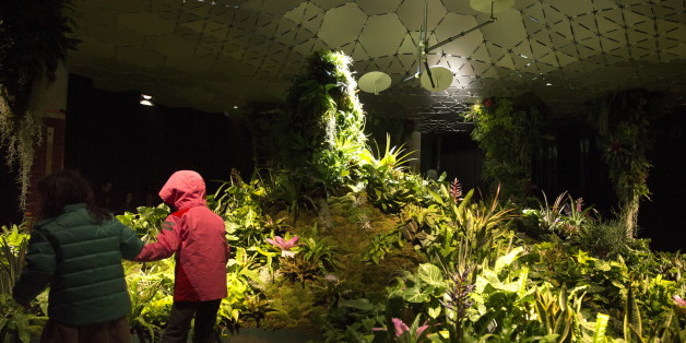 Besucher sehen sich die Pflanzen im Lowline-Lab an