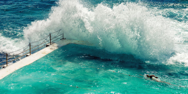 Alarm in Sydney: Flut spült Meeresraubtier in einen Swimmingpool