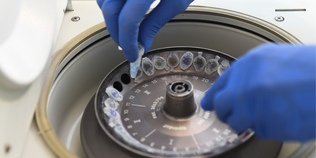 NOVOSIBIRSK, RUSSIA - MARCH 23, 2017: A scientist runs tests in a bacteriological laboratory at the Novosibirsk Tuberculosis Research Institute. Kirill Kukhmar/TASS (Photo by Kirill Kukhmar\TASS via Getty Images)