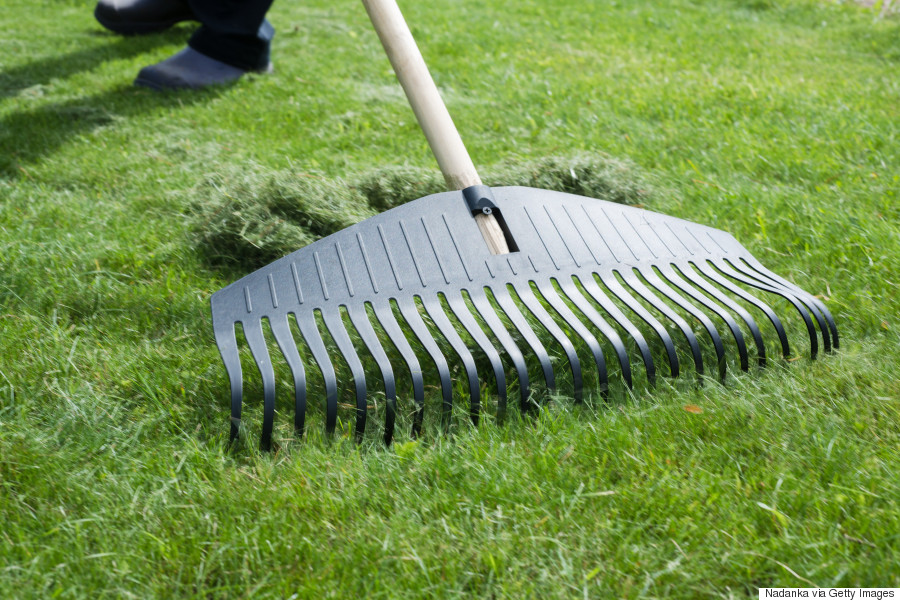 mixing grass clippings into soil mixing grass clippings into soil